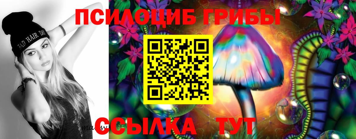 Галлюциногенные грибы прущие грибы  Вход с VPN  Тольятти 